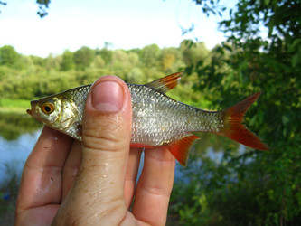 Similar image 1618873