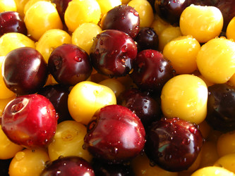 Similar image 1618879