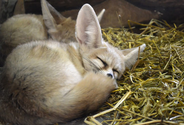 Similar image 1618895