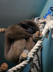 Similar image 1618898