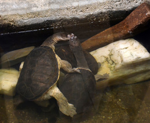 Similar image 1618900