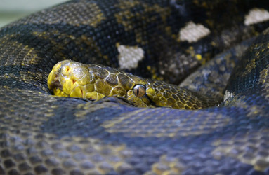 Similar image 1618901