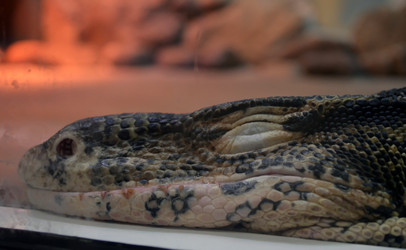 Similar image 1618902