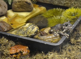 Similar image 1618903