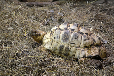 Similar image 1618905