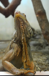 Similar image 1618907