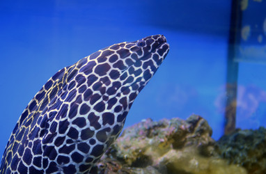 Similar image 1618908