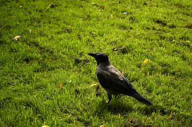 Similar image 1618910