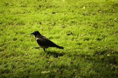 Similar image 1618911