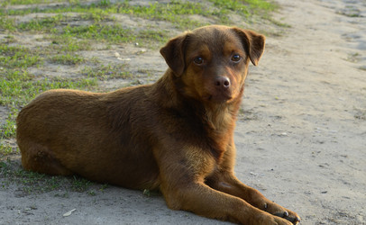 Similar image 1618912