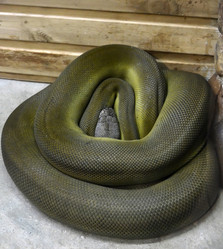 Similar image 1618914