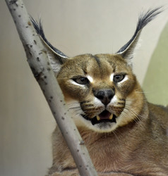 Similar image 1618915