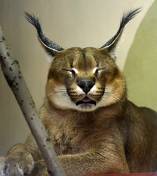 Similar image 1618916