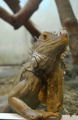 Similar image 1618917