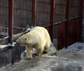 Similar image 1618921