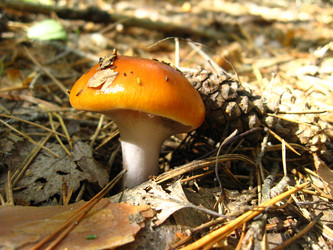 Similar image 1618973