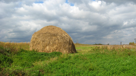 Similar image 1618975