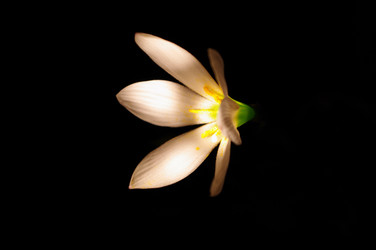 Similar image 1618996