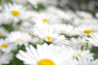 Similar image 1618997