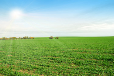 Similar image 1619009