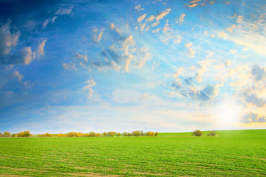 Similar image 1619011