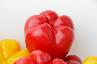 Similar image 1619040