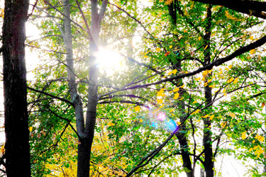 Similar image 1619106