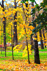 Similar image 1619107