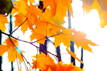 Similar image 1619110