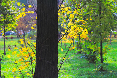 Similar image 1619113