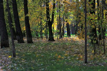 Similar image 1619115