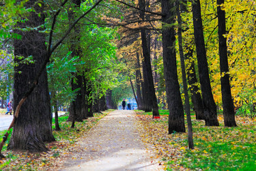 Similar image 1619123