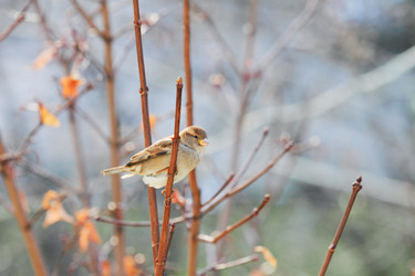 Similar image 1619124