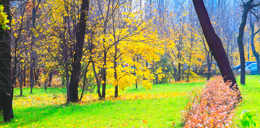 Similar image 1619136