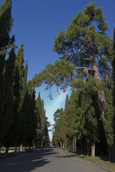 Similar image 1619177