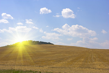 Similar image 1619237