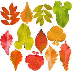 Similar image 1619241