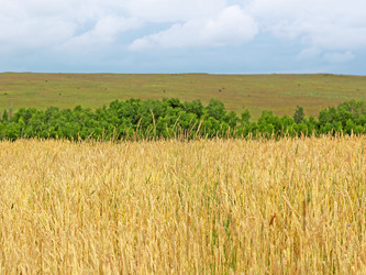 Similar image 1619306