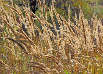 Similar image 1619327