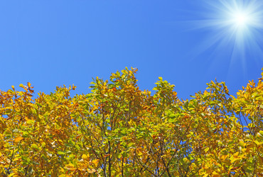 Similar image 1619328