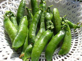 Similar image 1619374