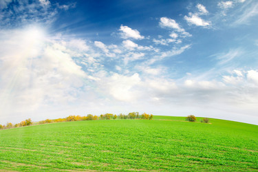 Similar image 1619477