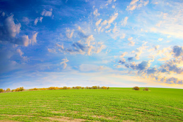 Similar image 1619508