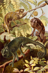 Similar image 1619614