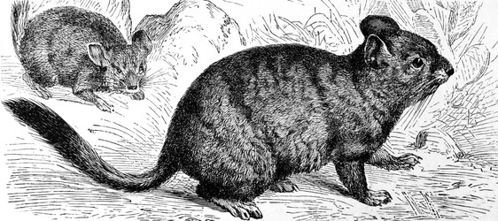 Similar image 1619633