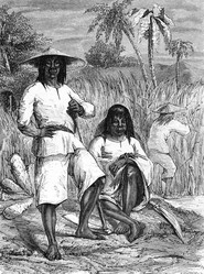 Similar image 1619656