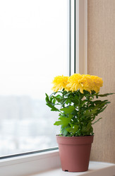 Similar image 1619845