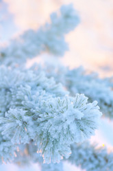 Similar image 1620040