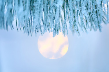 Similar image 1620041