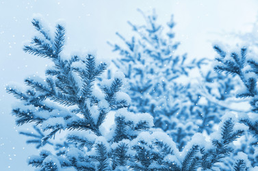 Similar image 1620044